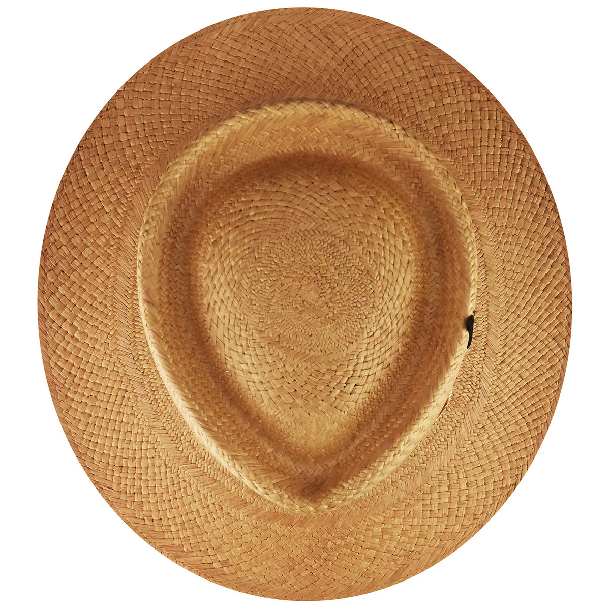 Alix Fedora - Image 6