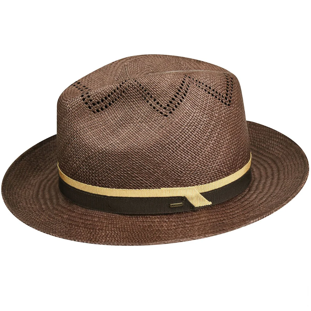 Arion Fedora