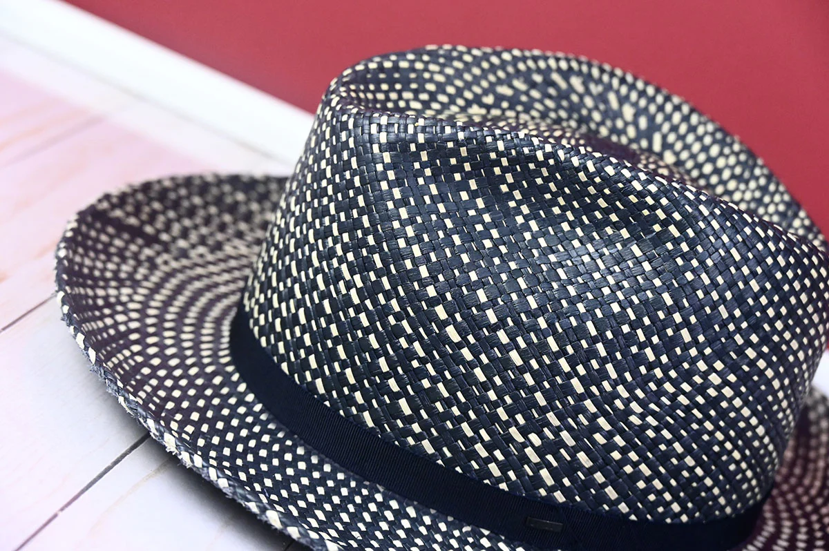 Phineas Fedora - Image 5