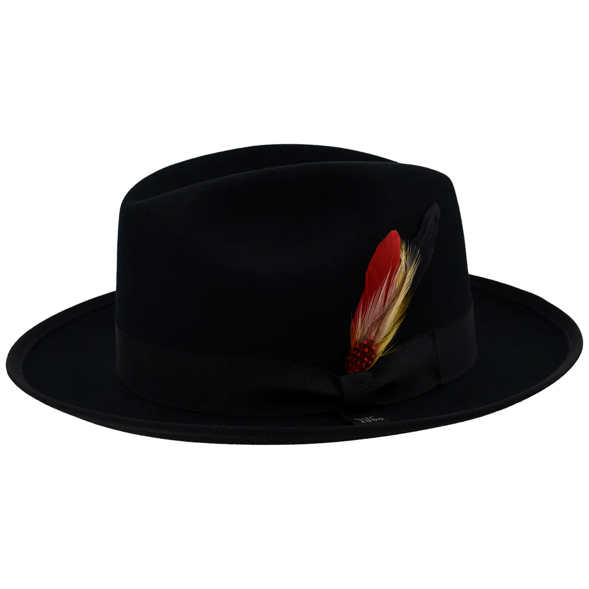 Kevin F. Fedora - Image 2