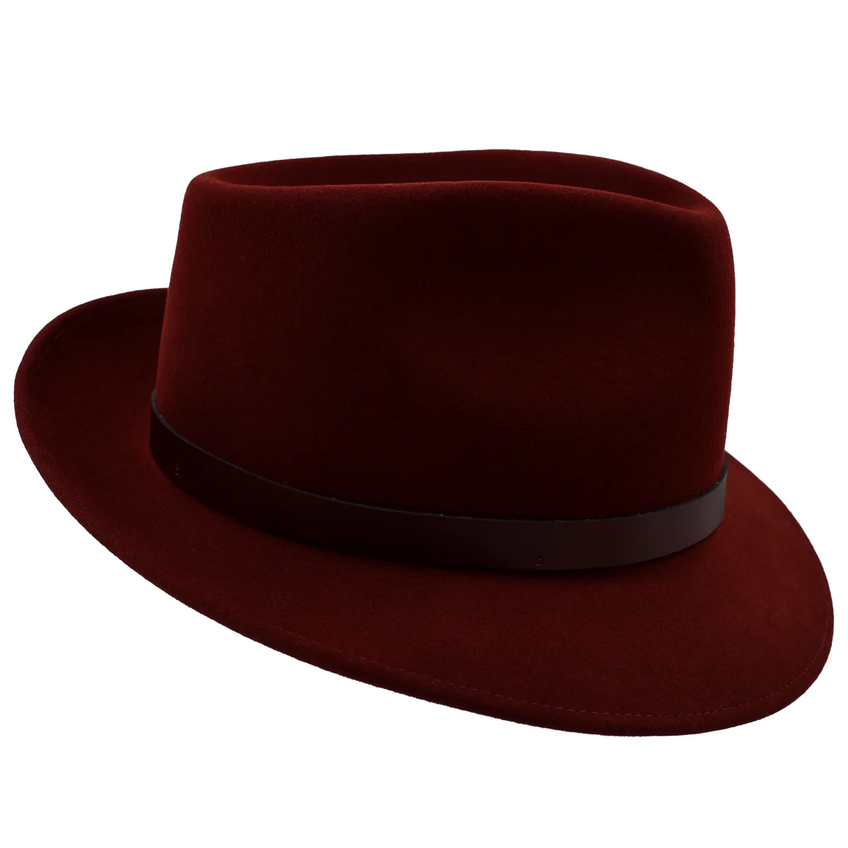 Mark C. Fedora - Image 3