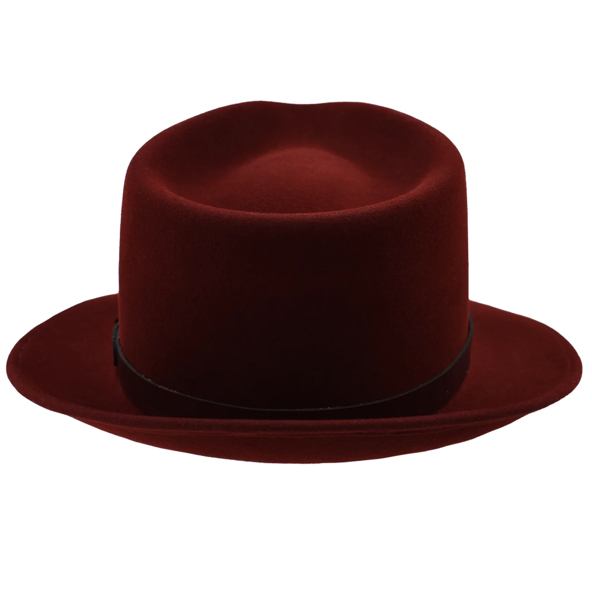 Mark C. Fedora - Image 4