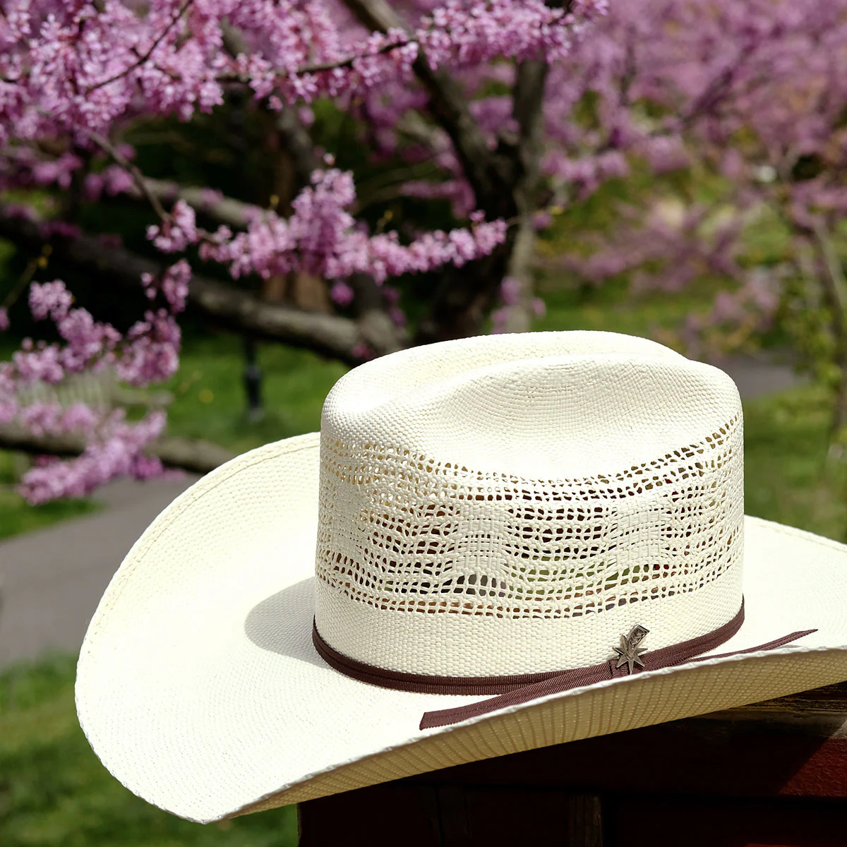 Ricker Cowboy Western Hat - Image 7