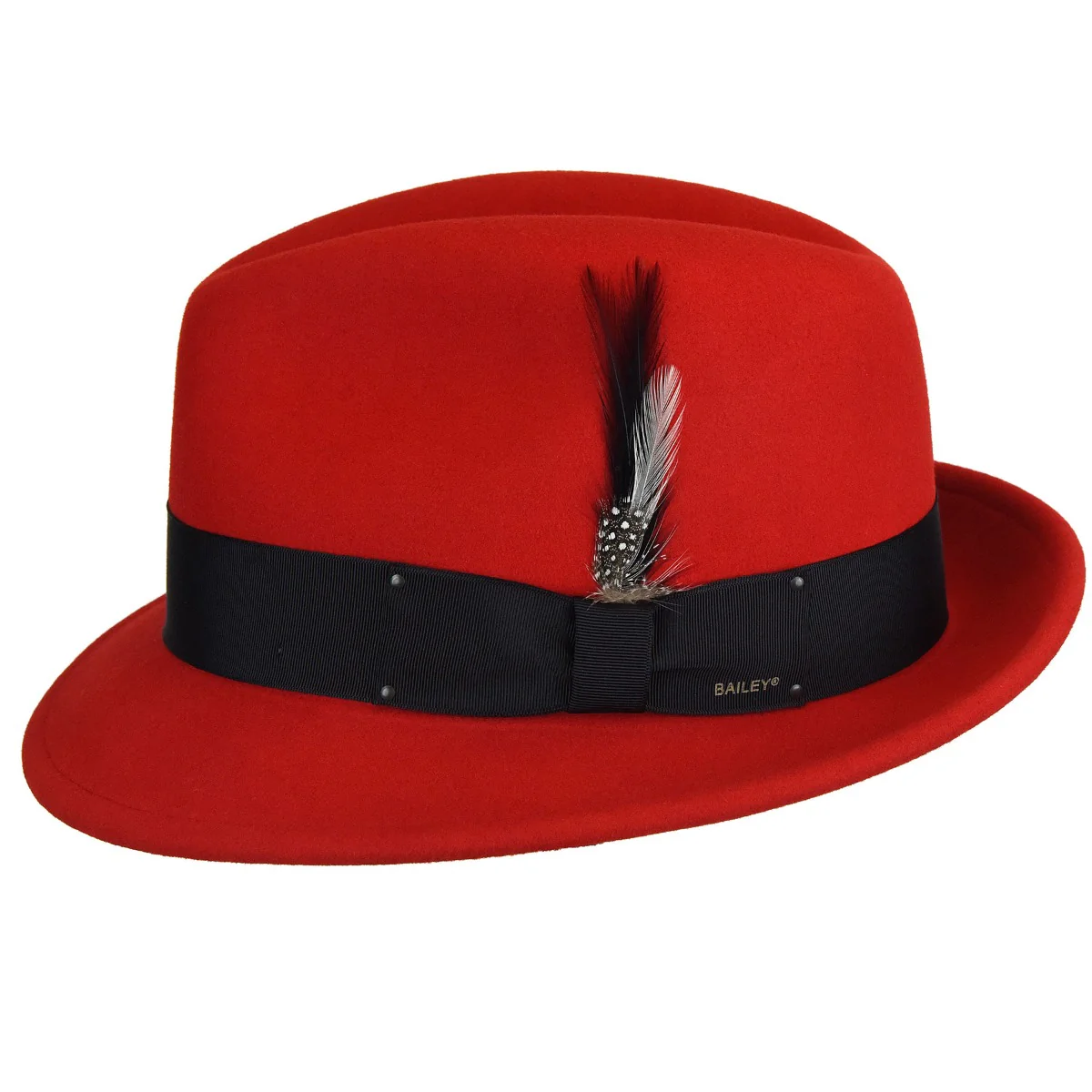 Tino Fedora - Image 16